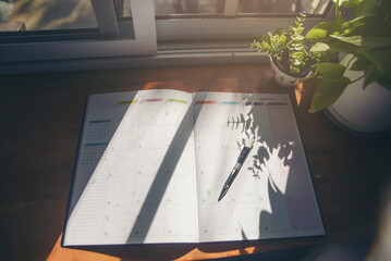 Wall Mural - agenda, planner book, 2025 calendar, pencil, and cactus place on business office desk. diary for org