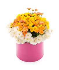 Wall Mural -  Flowers of chrysanthemum in the pot.