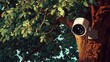 © Nathan - A security camera discreetly mounted on a tree, surrounded by vibrant green leaves, enhancing outdoor surveillance.