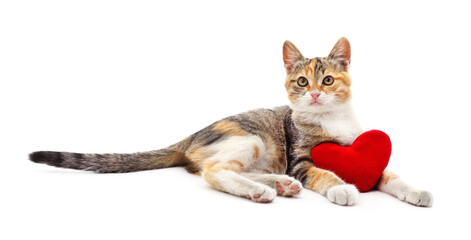 Wall Mural - Kitten with toy heart.