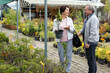 © caftor - Elderly man and woman buying yew plant at an open market
