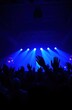 © Maryna - Energetic crowd enjoys live music performance at night event. Many people raise hands in excitement. Vibrant blue lights illuminate venue. People happy, together. Great atmosphere at concert. Lots of