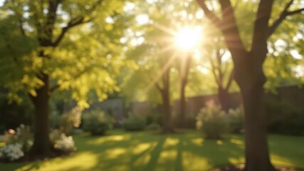 Wall Mural - Soft focus sunlit garden trees, bokeh background, garden, serenity, defocused