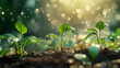 © Zoomiex Studio - New Growth, Revitalization: Seedlings sprout vibrantly, kissed by the sun's golden rays and nourished by a gentle rainfall.  A vibrant image representing growth, renewal.