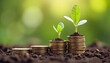 © Yanina - stacks of coins on the ground and seedlings grow on top, on green background, finance and business growth, money, profit, land, wealth, investment