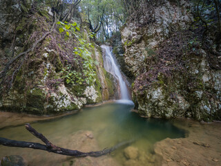 Wall Mural - Serene waterfall cascading into a tranquil pool in a lush forest setting.