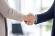 © 琢也 栂 - 握手をするビジネスマン