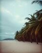 © Go - Empty remote tropical beach with exotic coconut palm trees vintage color stylized, Dynamic motion, with white tones
