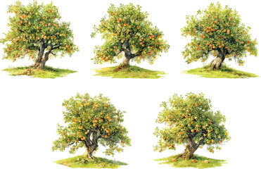 apple tree watercolor clipart