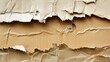 © Sleeping Carbuncle - Torn Cardboard Layers Reveal Texture And Damage