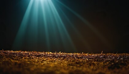 Canvas Print - brown color bokeh lights background