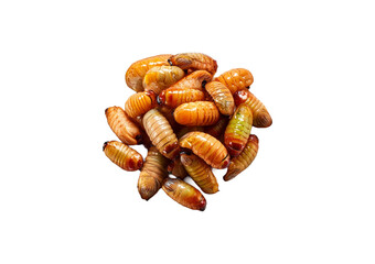 grub isolated on transparent or white background