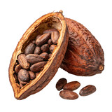 Cocoa pods with beans displayed on a transparent background, showcasing raw cocoa seeds in a natural, detailed format