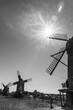 © Cavan - Bright summer sun and wooden windmills
