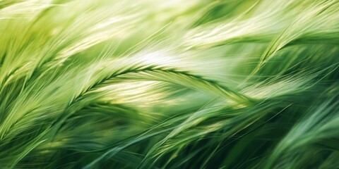 Aufkleber - Image of softly blurred green grass that creates a serene ambiance. This vibrant green grass invites a sense of tranquility and calm, emphasizing the beauty of nature through its gentle hues.