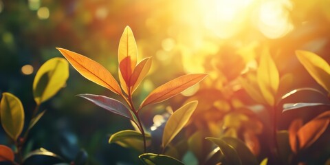 Aufkleber - Vibrant plants basking in the warm sunshine during a stunning summer sunset, highlighting the beauty of nature as sunlight dances on the leaves, creating an enchanting summer scene with plants.