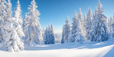 Aufkleber - Snowy trees showcased against a backdrop of clear weather create a stunning scene. The sight of snowy trees in such bright conditions highlights their beauty and tranquil nature.