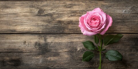 Aufkleber - Pink rose flower arranged beautifully on a rustic wooden background, showcasing the delicate petals and vibrant color of the pink rose flower, perfect for nature themed designs.