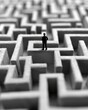 © sorin - Businessman confronts intricate maze, representing professional life challenges and decision making