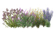 © Link Parker - Diverse collection of isolated flowers, grasses, bushes, and small plants