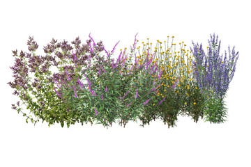 diverse collection of isolated flowers, grasses, bushes, and small plants