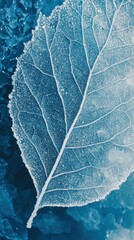 Aufkleber - Intricate patterns of frost on a frozen leaf captured in a macro shot during winter's chill