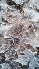 Leinwandbilder - Frost-covered maple leaves resting on a cold surface during winter mornings in a quiet forest setting