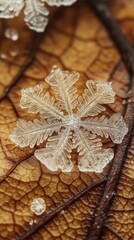 Poster - Intricate snowflake resting on a textured leaf surface during winter, showcasing nature's delicate beauty and detail