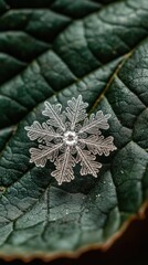 Fototapete - Intricate snowflake resting on a green leaf during winter's chill