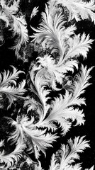Leinwandbilder - Frost patterns create intricate designs on a chilly winter window at dawn