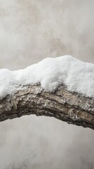 Poster - Close-up view of snow-covered branch showcasing winter's beauty in a tranquil setting