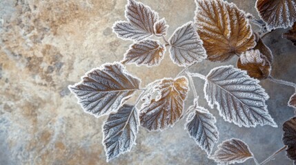 Poster - Frost covers autumn leaves, creating a delicate winter landscape in nature's embrace