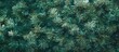 ©  AugmentArt - Close-up of dense green pine branches creating a textured winter backdrop with ample copy space for nature-themed designs