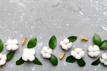 Wall Mural - autumn floral flat lay background composition. dried white fluffy cotton flower branchwith green lea