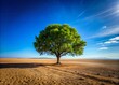 © Manatsavee - Lone Tree Deforestation Wide Angle Photography - Blue Sky, Desolate Landscape, Environmental Impact