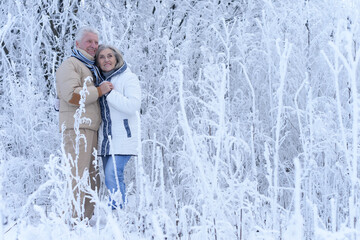 Canvas Print - An elderly couple walks in a winter park