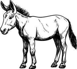 A detailed black and white sketch of a standing donkey, showcasing its features and character in a rural setting.