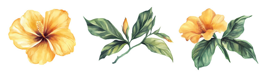 beautiful green tropical leaves set design