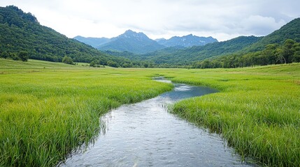 Sticker - Serene mountain valley with a stream flowing through lush green grass.