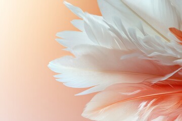 Wall Mural - Soft white and peach feathers create a delicate and tranquil atmosphere in a calming setting