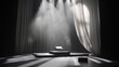 © Dzikir - Empty stage with spotlights, draped curtains, and a small platform.