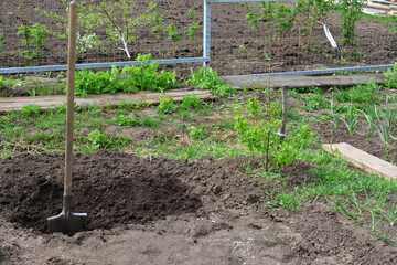 a garden with a fence and a garden shovel and dirty hole