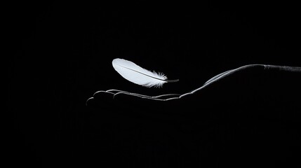 Poster - White feather delicately perched on a dark branch against a black background.