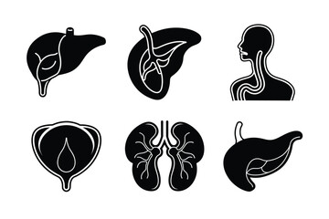 Wall Mural - Internal Organs of human body vector silhouette art illustration bundle