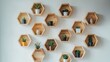 © ABIDZAR ALFAREZ - Hexagonal wooden shelves with potted plants on a white wall.