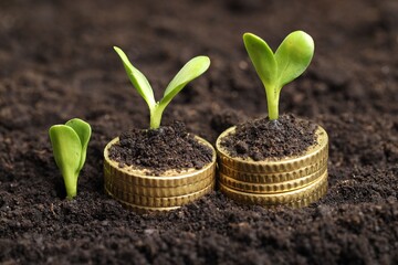 Wall Mural - Stacks of coins with green plants on soil, closeup. Money growth concept