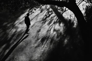 Poster - Solitary figure, shadow, tree, ground, sunlight.