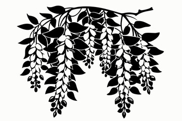 wisteria flowers line art silhouette vector illustration