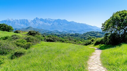 Wall Mural - Scenic trail through grassy meadow with mountain backdrop.