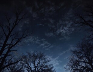 dark blue night sky with twinkling stars and silhouetted tree branches, dark blue, nature